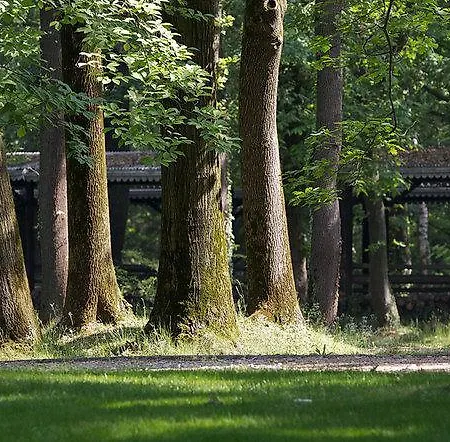Alloggio per agriturismo Sant'anna Somma Lombardo