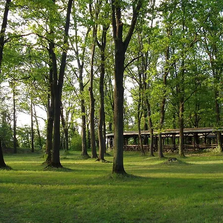 Sant'anna *