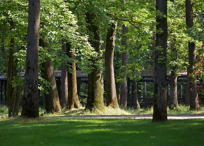 Sant'anna سوما لومباردو