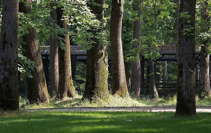 Alloggio per agriturismo Sant'anna Somma Lombardo