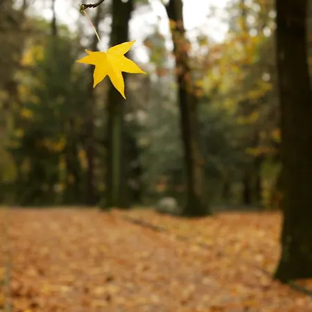 Feriegård Sant'anna *